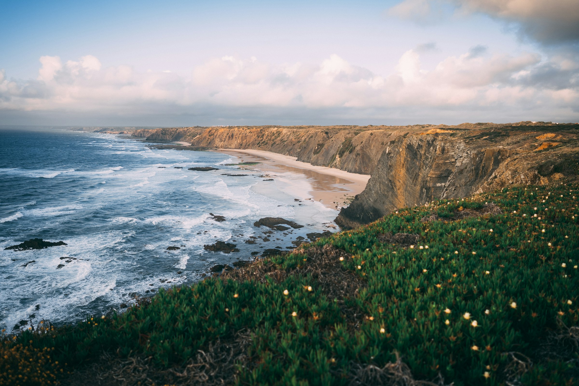 Arriba sobre uma praia deserta na costa vicentina, com vegetação rasteira em primeiro plano