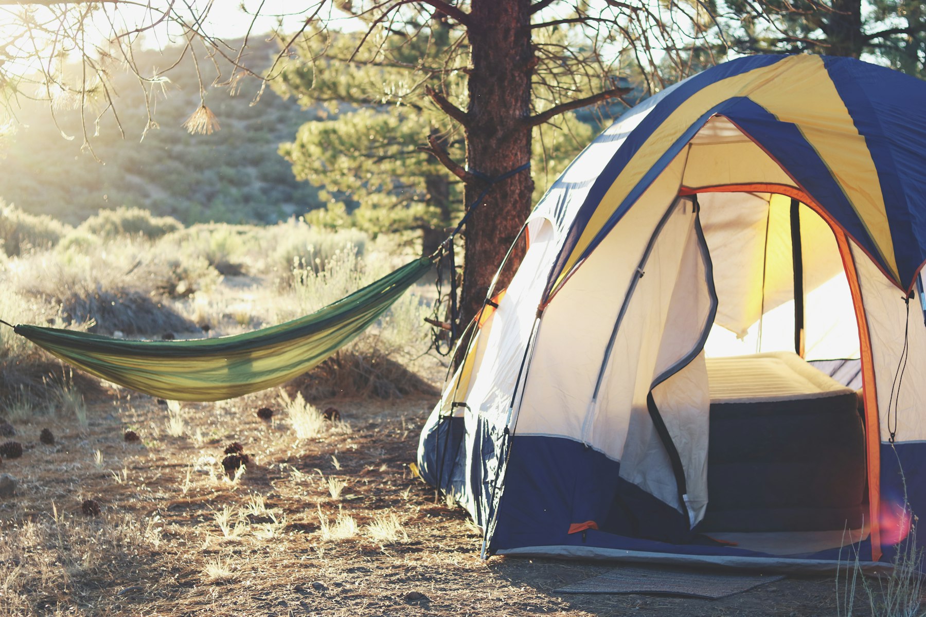 Tenda de campanha montada num pinhal ao fim da tarde, com uma rede pendurada ao lado